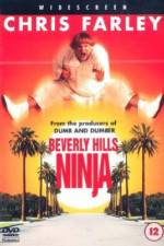 Watch Beverly Hills Ninja Megashare8