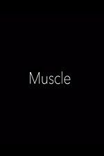 Watch Muscle Megashare8