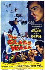 Watch The Glass Wall Megashare8