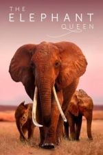 Watch The Elephant Queen Megashare8
