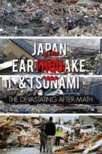 Watch Japan Aftermath of a Disaster Megashare8