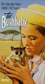 Watch The Bushbaby Megashare8