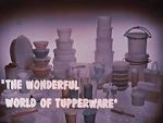 Watch The Wonderful World of Tupperware (Short 1965) Megashare8