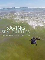 Watch Saving Sea Turtles: Preventing Extinction Megashare8