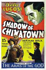 Watch Shadow of Chinatown Megashare8