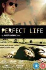 Watch Perfect Life Megashare8
