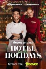 Watch Hotel for the Holidays Megashare8