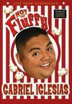 Watch Gabriel Iglesias: Hot and Fluffy Megashare8