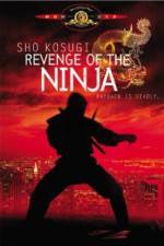 Watch Revenge of the Ninja Megashare8