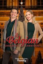 Watch A Belgian Chocolate Christmas Megashare8