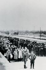 Watch AUSCHWITZ: SURPRISING BEGINNINGS Megashare8