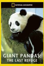 Watch National Geographic Giant Pandas The Last Refuge Megashare8