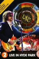 Watch Jeff Lynne\'s ELO at Hyde Park Megashare8