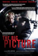 Watch The Big Picture Megashare8