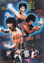 Watch The Clones of Bruce Lee Megashare8