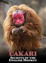 Watch Uakari: Secrets of the English Monkey Megashare8