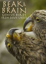 Watch Beak & Brain - Genius Birds from Down Under Megashare8