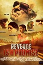 Watch Revenge Is a Promise Megashare8