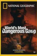 Watch National Geographic World's Most Dangerous Gang Megashare8