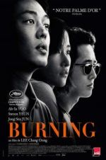 Watch Burning Megashare8