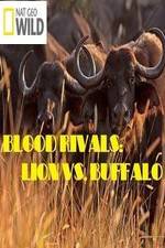 Watch National Geographic - Blood Rivals: Lion vs. Buffalo Megashare8