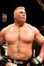 Watch Brock Lesnar 7 Fights Megashare8