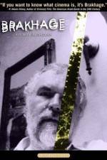 Watch Brakhage Megashare8