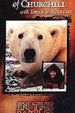 Watch The Polar Bears of Churchill with Ewan McGregor Megashare8