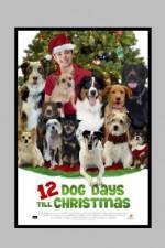 Watch 12 Dog Days of Christmas Megashare8