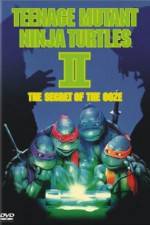 Watch Teenage Mutant Ninja Turtles II: The Secret of the Ooze Megashare8