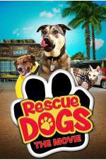Watch Rescue Dogs Megashare8