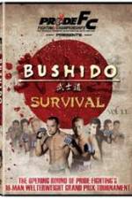 Watch Pride Bushido 11 Megashare8