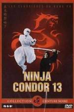 Watch Ninjas Condors 13 Megashare8