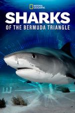 Watch Sharks of the Bermuda Triangle (TV Special 2020) Megashare8