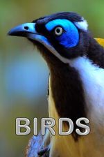 Watch Birds (Short 2021) Megashare8