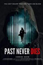 Watch The Past Never Dies Megashare8