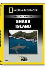 Watch National Geographic: Shark Island Megashare8
