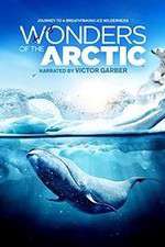 Watch Wonders of the Arctic 3D Megashare8