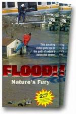 Watch Flood Megashare8