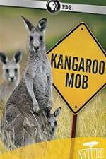 Watch Kangaroo Mob Megashare8