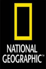 Watch National Geographic Wild Night Of The Lion Megashare8