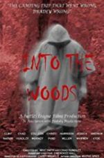 Watch Into the Woods Megashare8