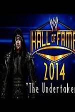 Watch WWE Hall Of Fame 2014 Megashare8