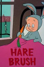 Watch Hare Brush (Short 1955) Megashare8