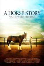 Watch A Horse Story Megashare8