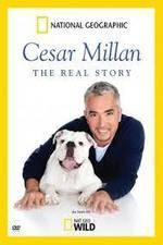 Watch Cesar Millan: The Real Story Megashare8