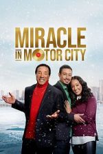 Watch Miracle in Motor City Megashare8