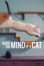 Watch Inside the Mind of a Cat Megashare8