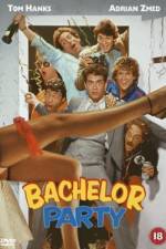 Watch Bachelor Party Megashare8