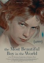 Watch The Most Beautiful Boy in the World Megashare8